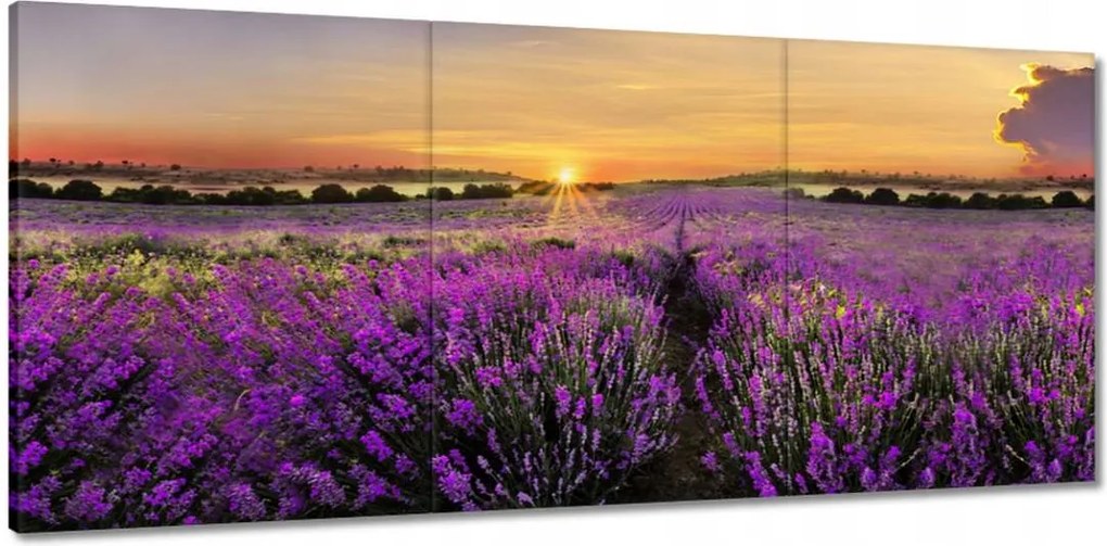 Vászonkép 150x70 Levendula naplemente