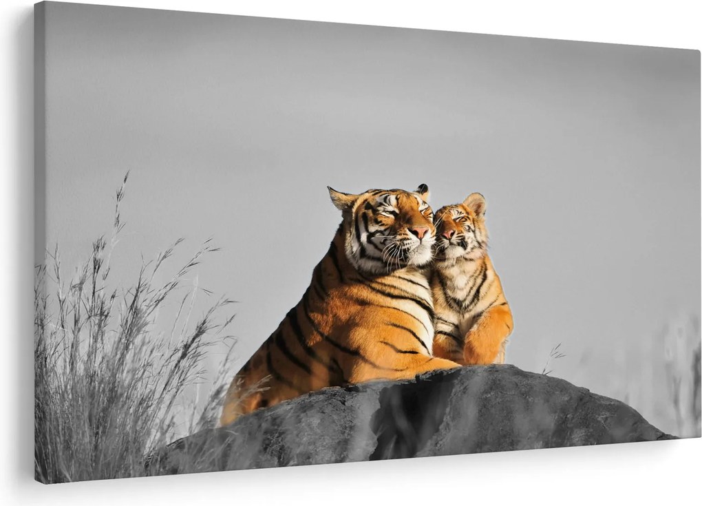 Kép - Tigris és a kölyke, fekete-fehér változat (90x60 cm)