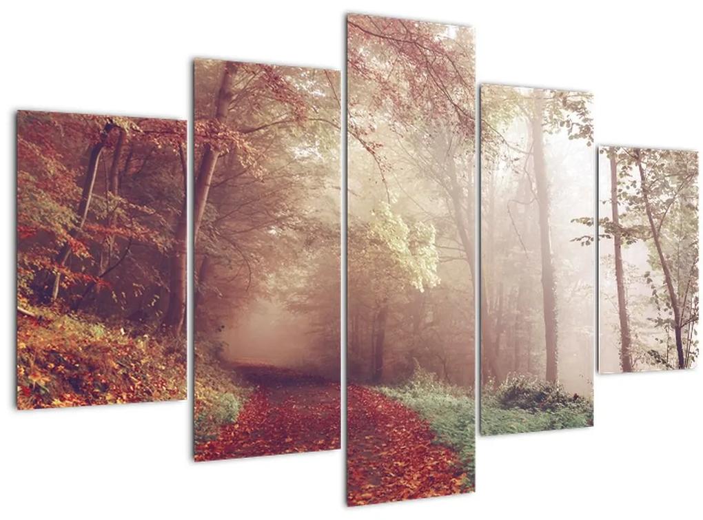 Kép - Őszi séta az erdőben (150x105 cm)