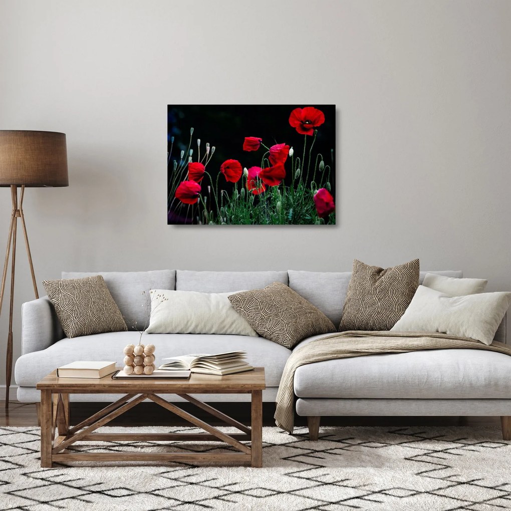 Kép - Pipacsok tánca (üvegen) (70x50 cm)