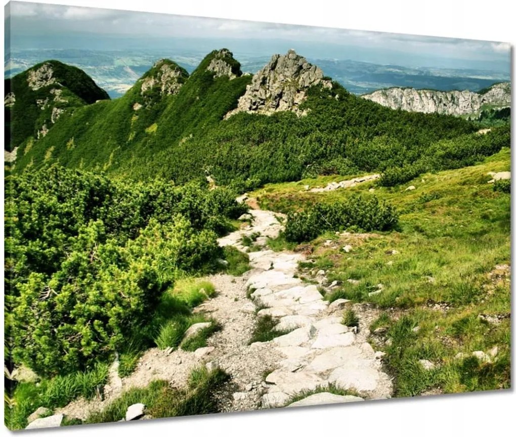 Vászonkép 80x60 Tátra Lengyel hegyek Kilátás