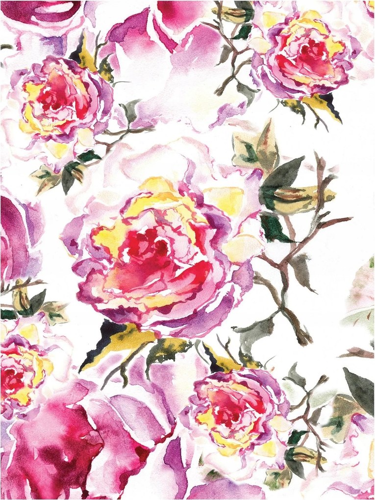 Fotótapéta Rózsaszín bazsarózsa vinil akvarell 184x254 +ragasztó