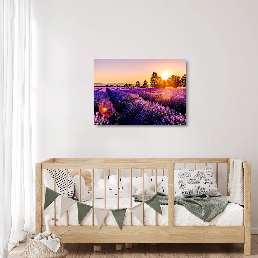 A levendula mező képe, Provence (üvegen) (70x50 cm)