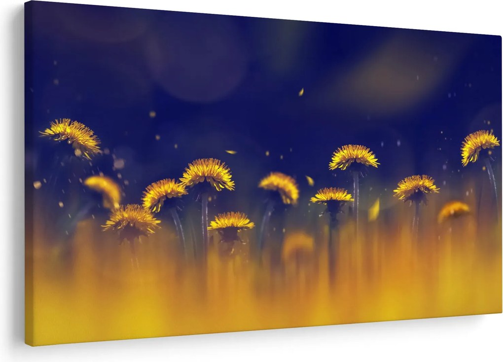 Kép - Pitypang (90x60 cm)