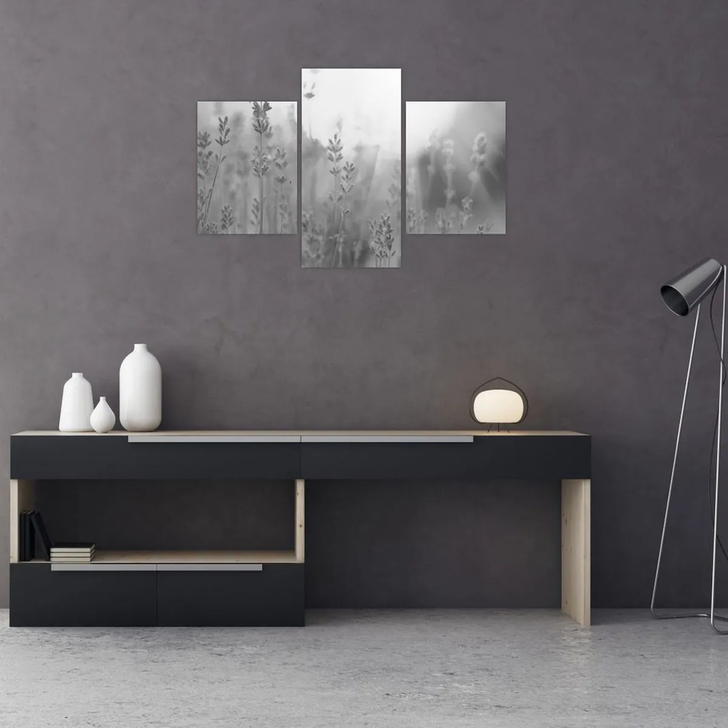 Kép - Levendula (90x60 cm)