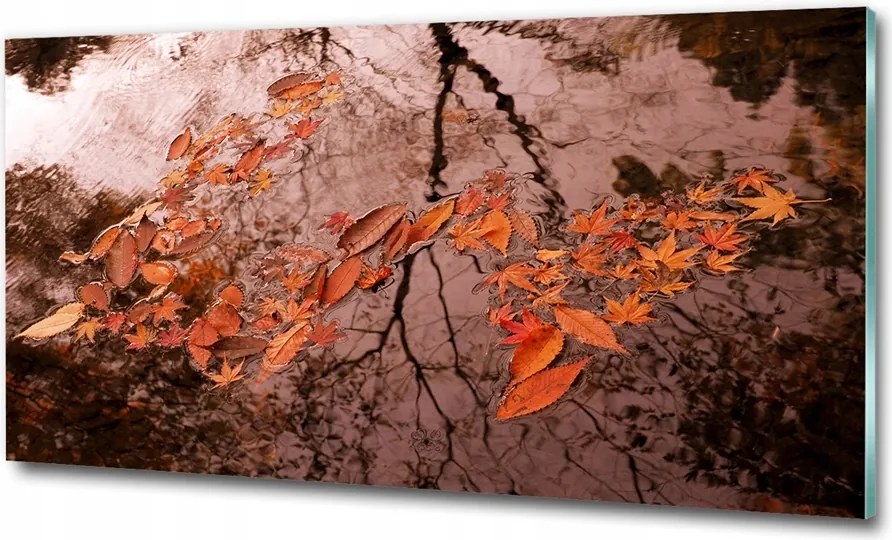 Fotó üvegkép Pitypang magok 100x70