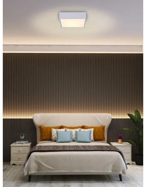 Immax NEO 07238L - LED dimmelhető mennyezeti lámpa CANTO 22W/230V fehér Tuya + t