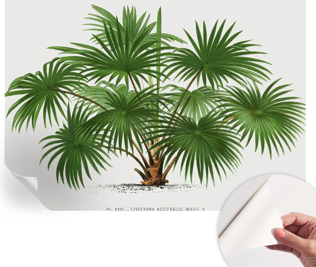 Öntapadós tapéta Divatos 3D fali ragasztó Egzotikus minta 208x146 cm