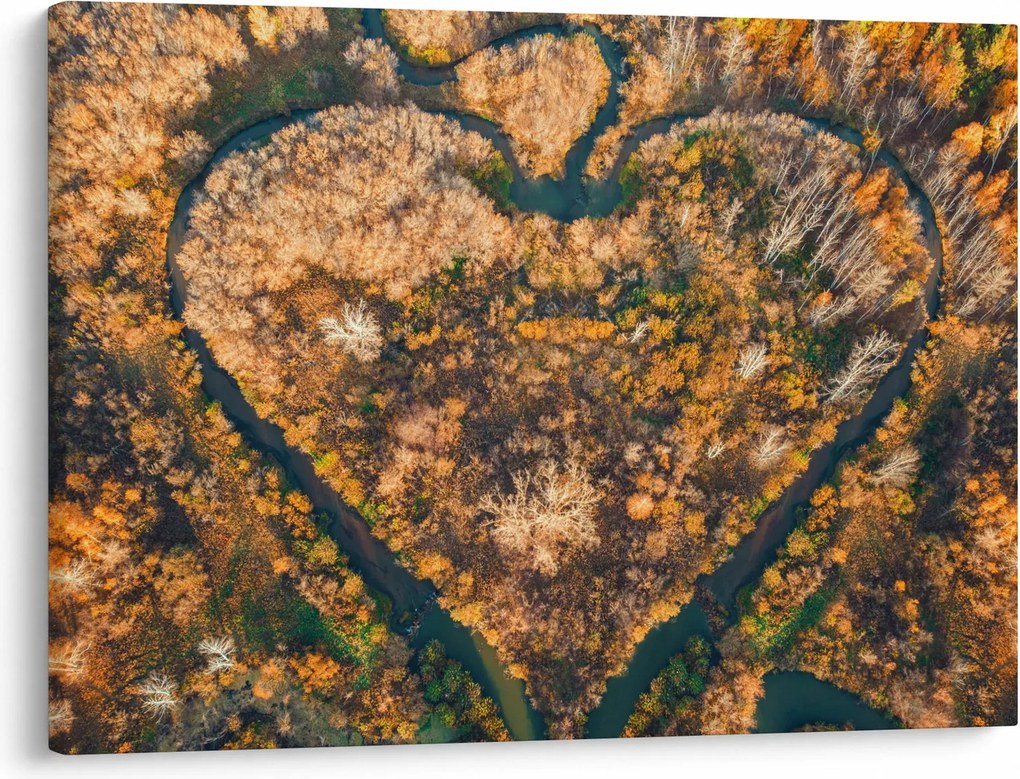 Kép - Szív alakú folyó (70x50 cm)