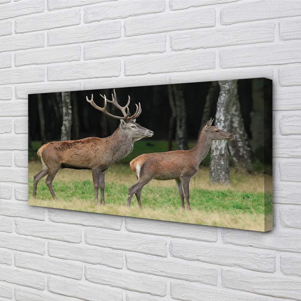 Canvas képek szarvas erdei 140x70 cm