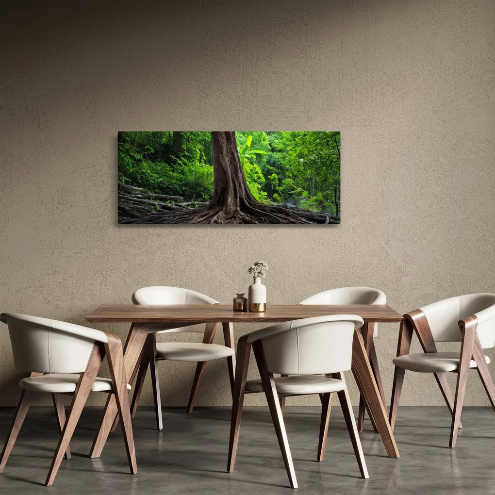 Kép - Öreg fa gyökere (120x50 cm)