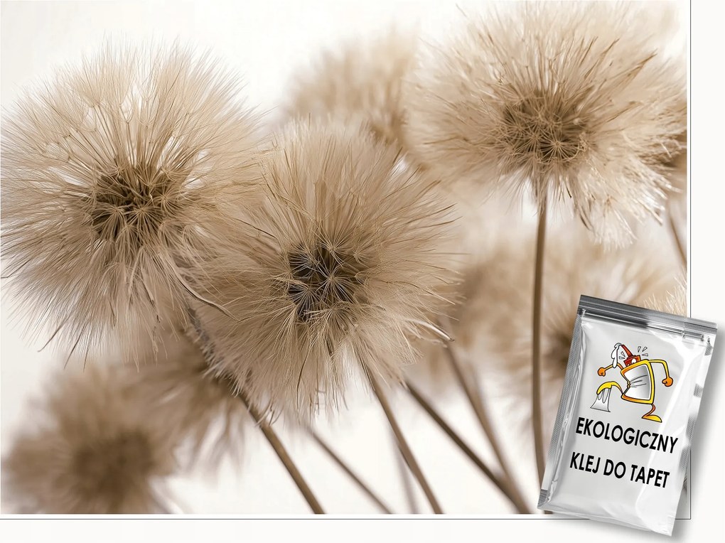 Fotótapéta Pitypang Boho Természet Hálószoba Nappali Tapéta Flizelina 200x140