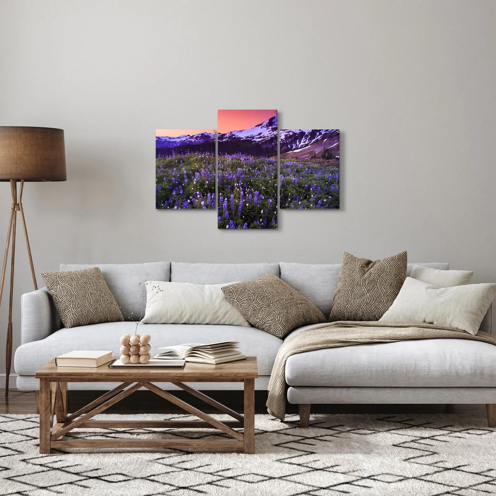 Kép - Vulkán és a virágok (90x60 cm)