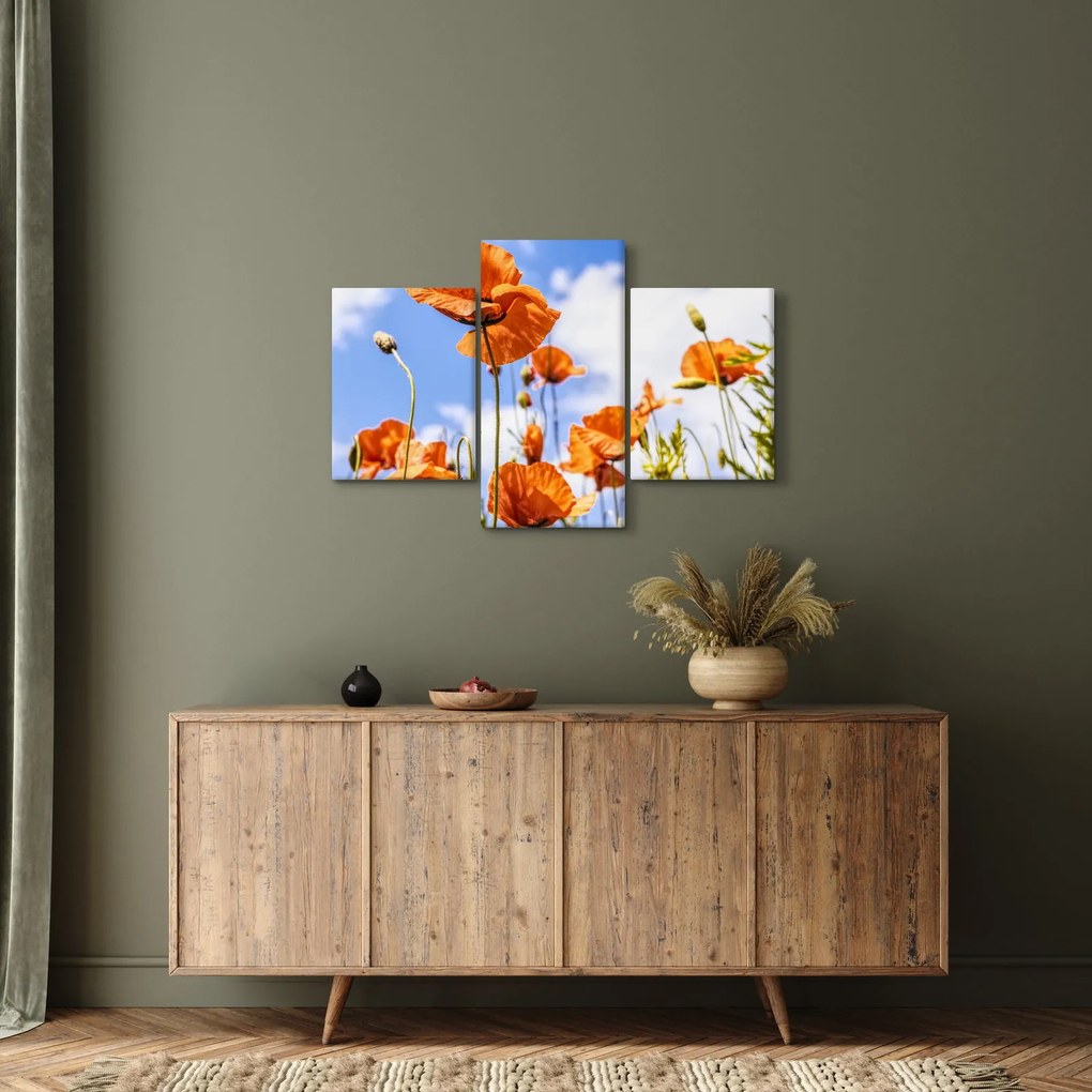 Pipacsok képe (90x60 cm)