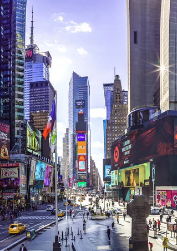 Poszter 42x59,4cm Times Square, Assaf Frank