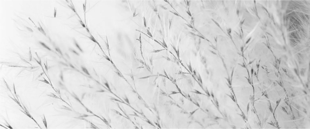 Kép - Pampafű N⁰2 (120x50 cm)