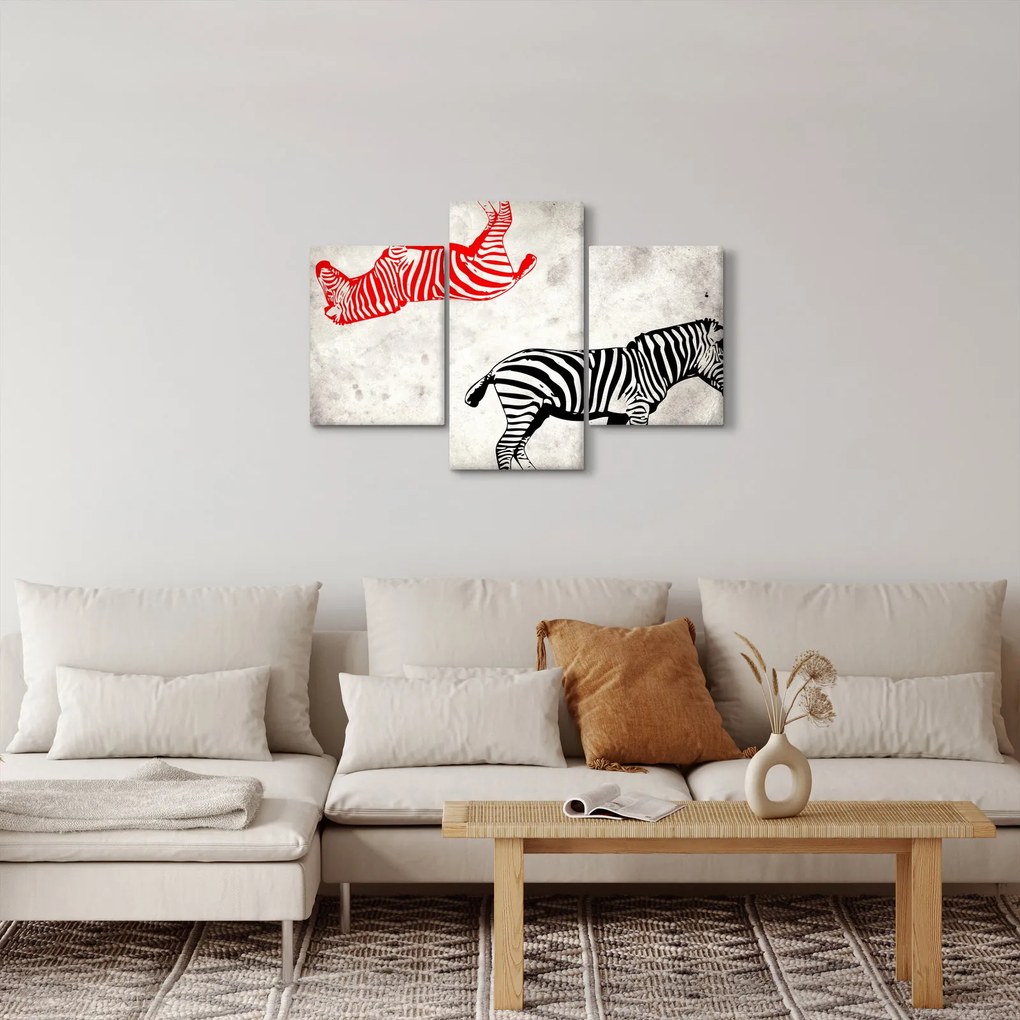 Kép - Zebrák (90x60 cm)