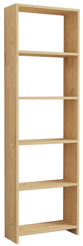 könyvespolc New - Oak