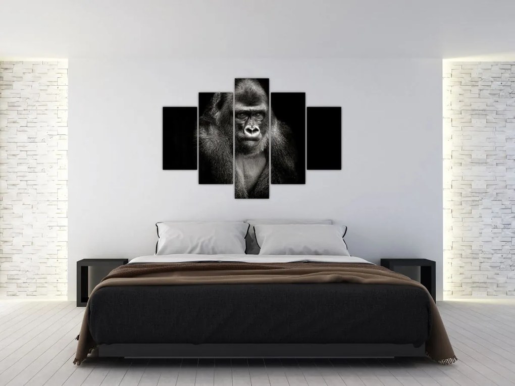 Kép - Gorilla (150x105 cm)