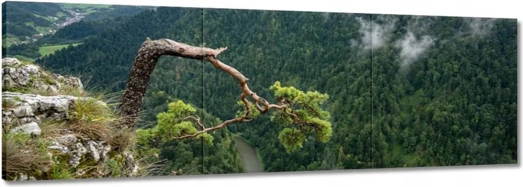 Vászonkép 90x30 Tájkép Sólyomkő