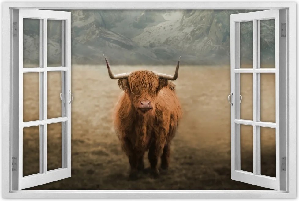 Poszter 60x40 Skót tehén szarvasmarha