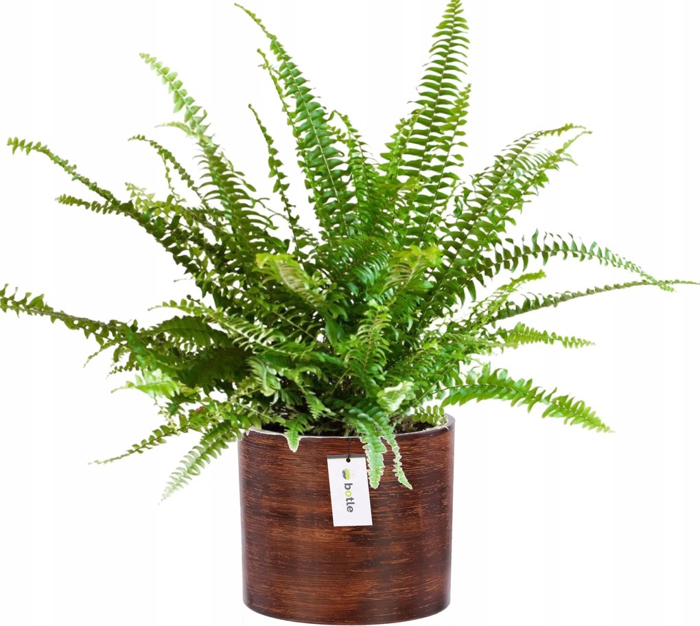 Virágcserép kerámia fedél Ø 12,5cm H 12cm szín Sötét fa matt