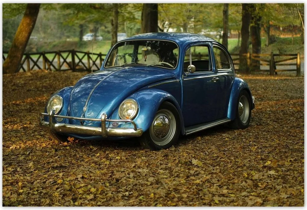 Poszterek 155x105 Bogár Vw autó]