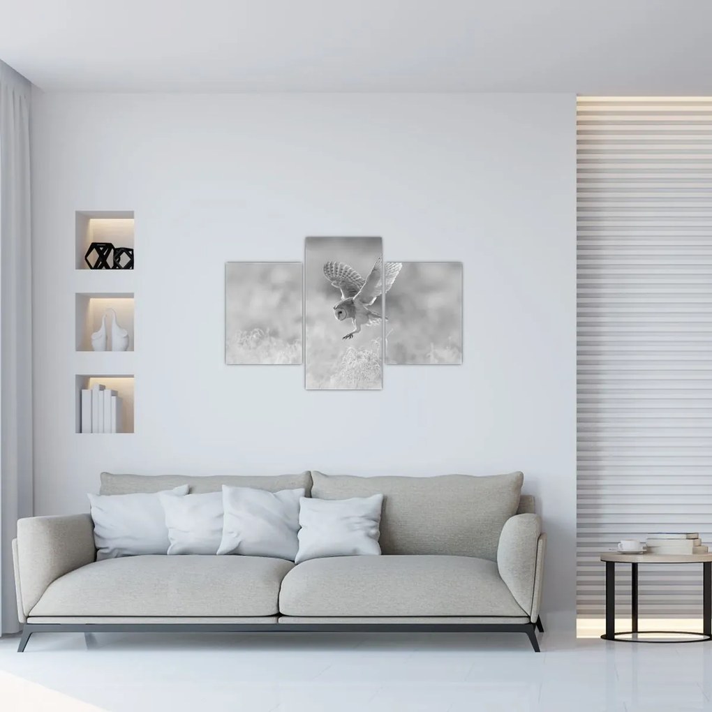 Kép - Bagoly, fekete-fehér (90x60 cm)