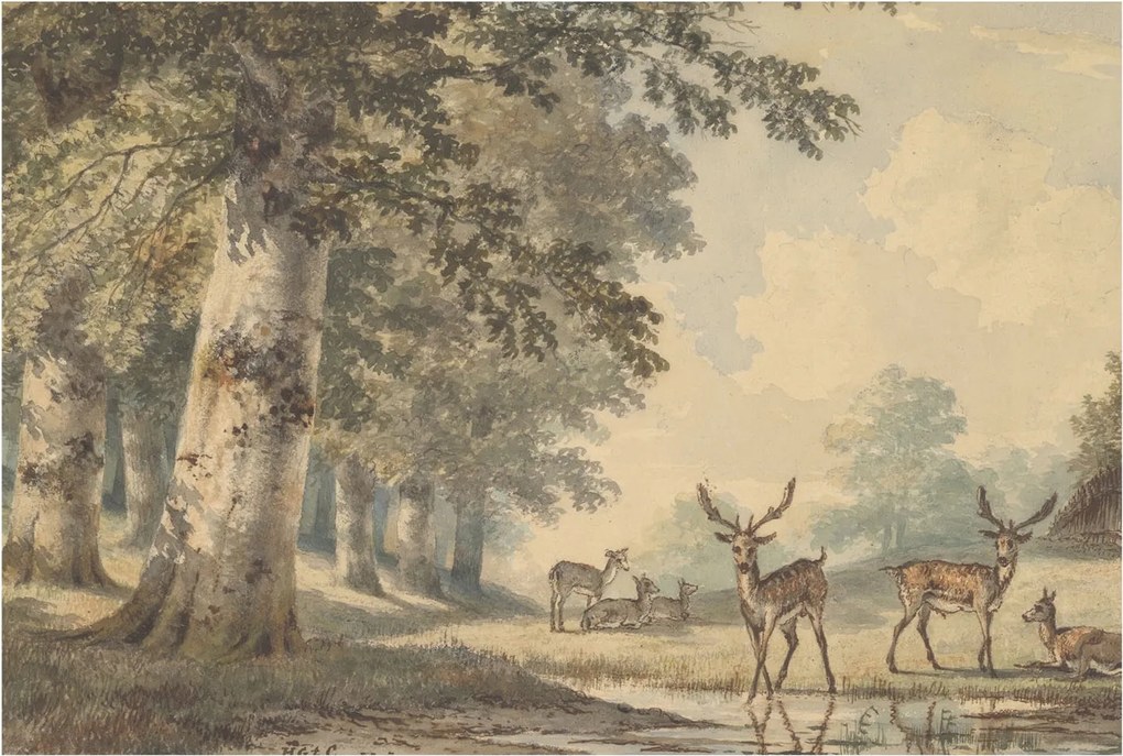 Flizelin fotótapéta Flizelin Designer Erdei nyugalom 104x70 Ragasztó