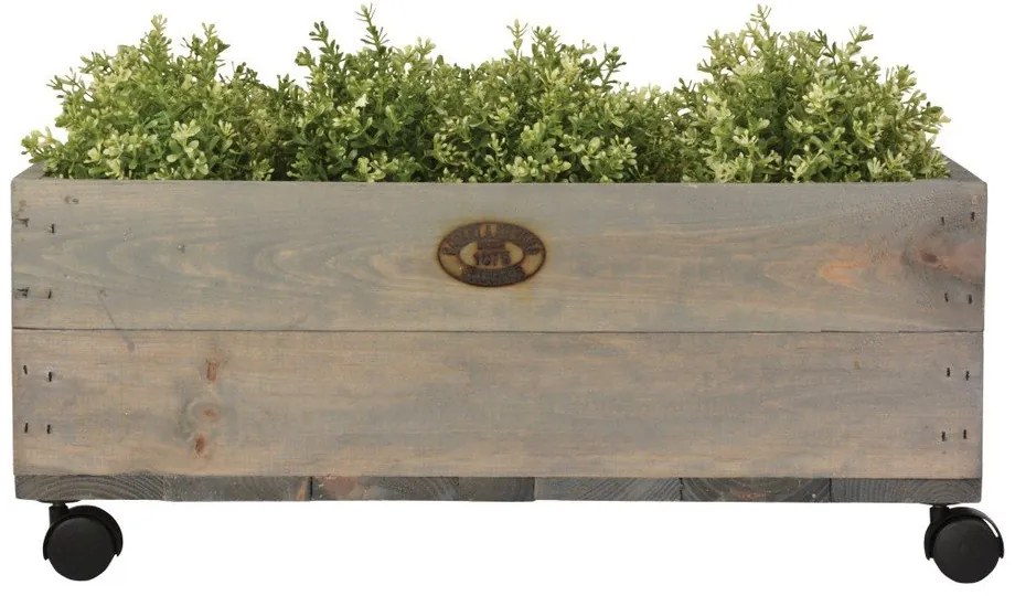 Gurulós virágláda borovi fenyőfából, szélesség 59 cm - Esschert Design