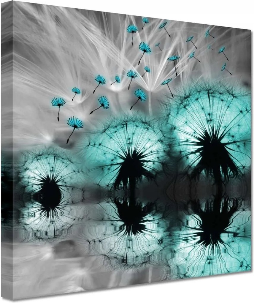 Vászonkép 20x20 Kék pitypangok