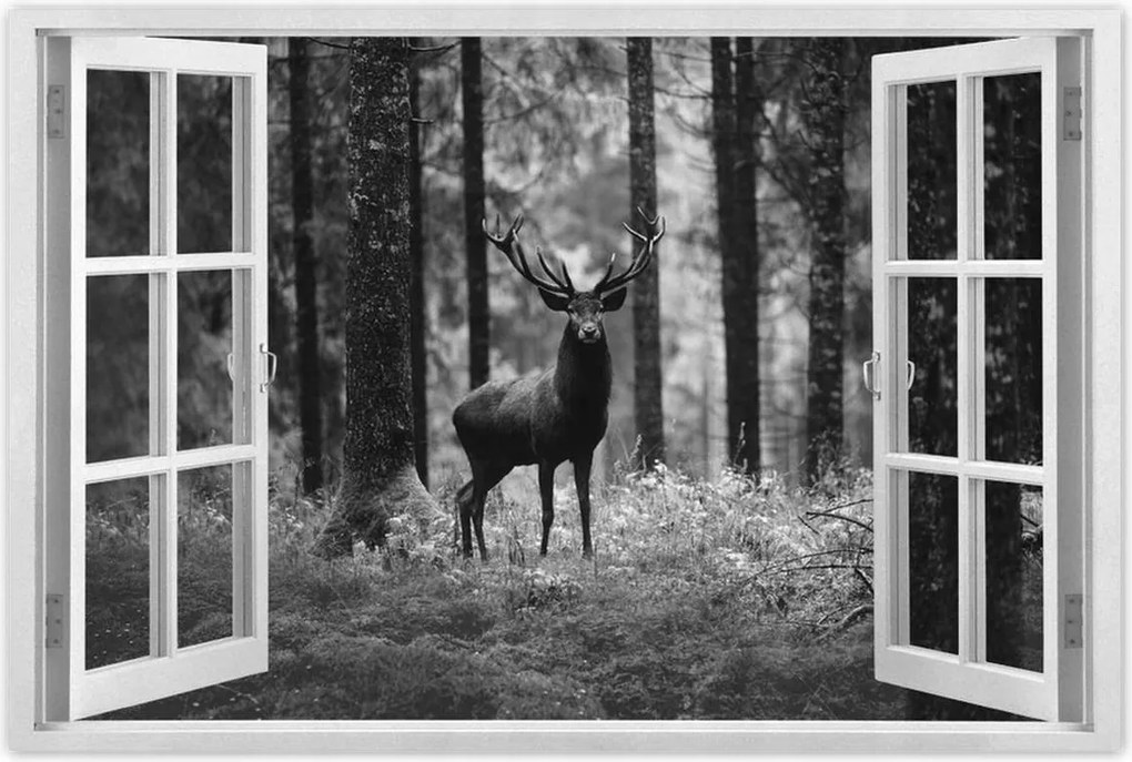 Poszter 60x40 Szarvas az erdőben B&amp;w