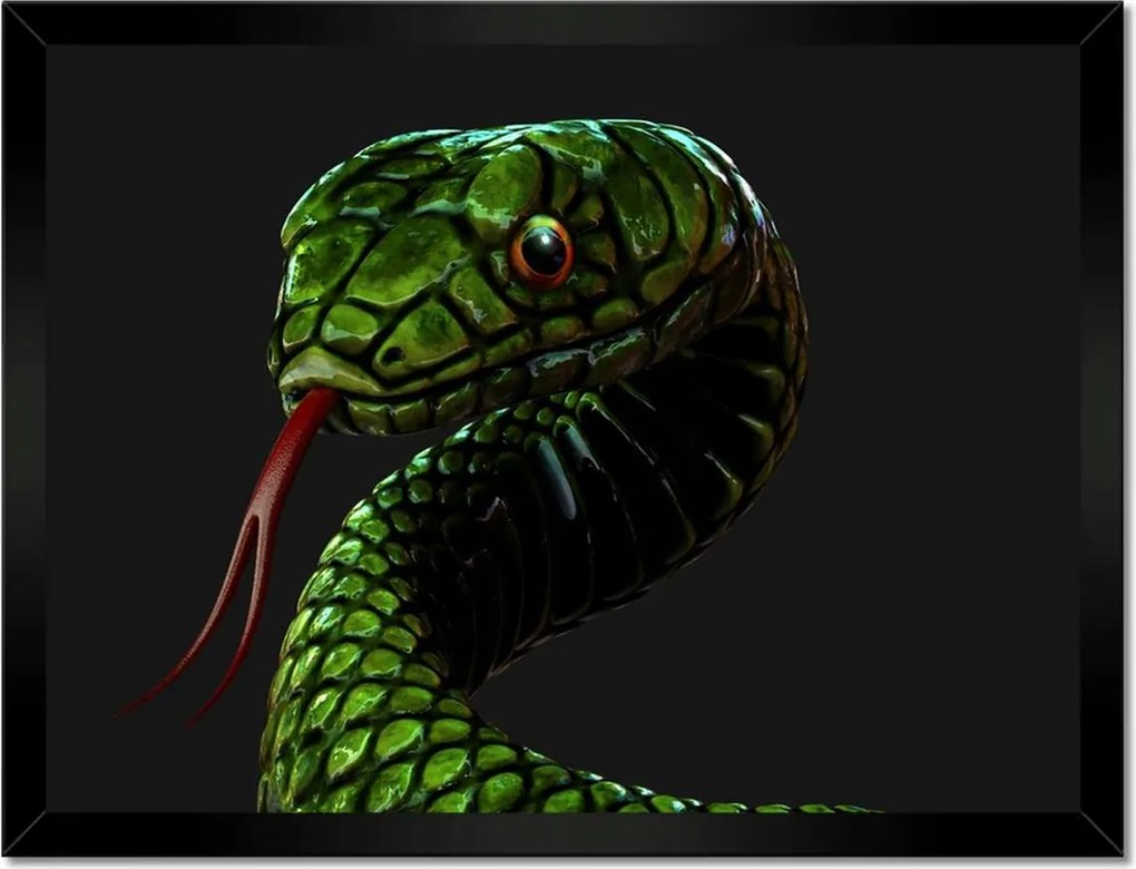 Poszterek keretben 40x30 Óriás zöld kígyó
