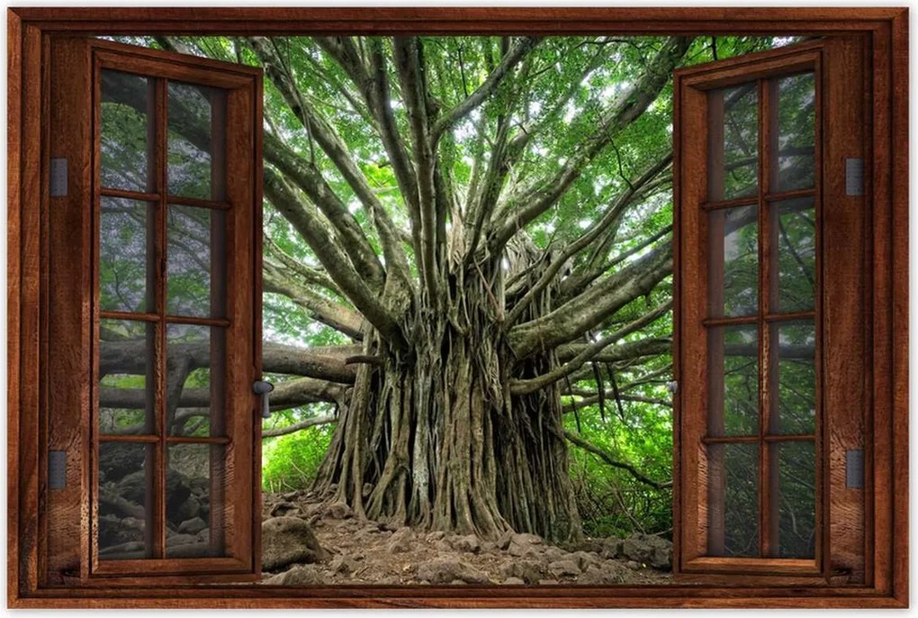 Poszterek 90x60 Fa Kilátás