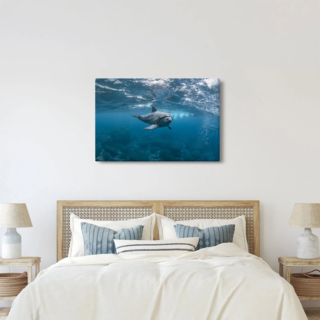 Kép - Delfin a felszín alatt (90x60 cm)