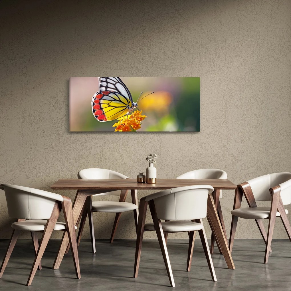 Egy pillangó képe a virágon (120x50 cm)