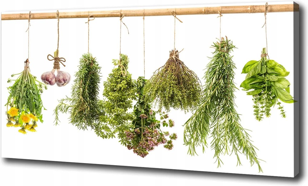 Vászonkép Gyógynövények zsinóron 100x70 cm