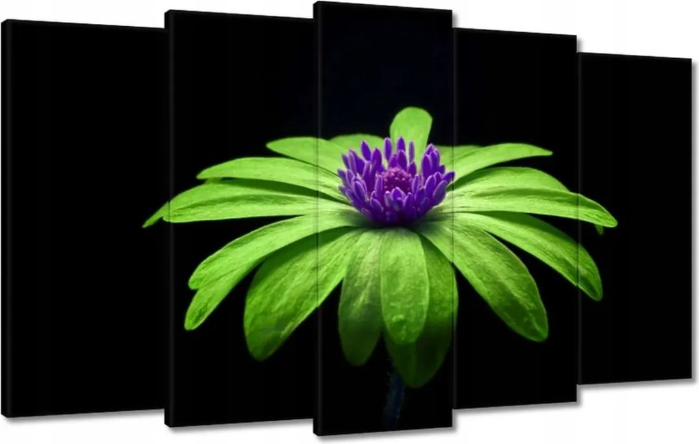 Vászonkép 100x60 Lime szirmok