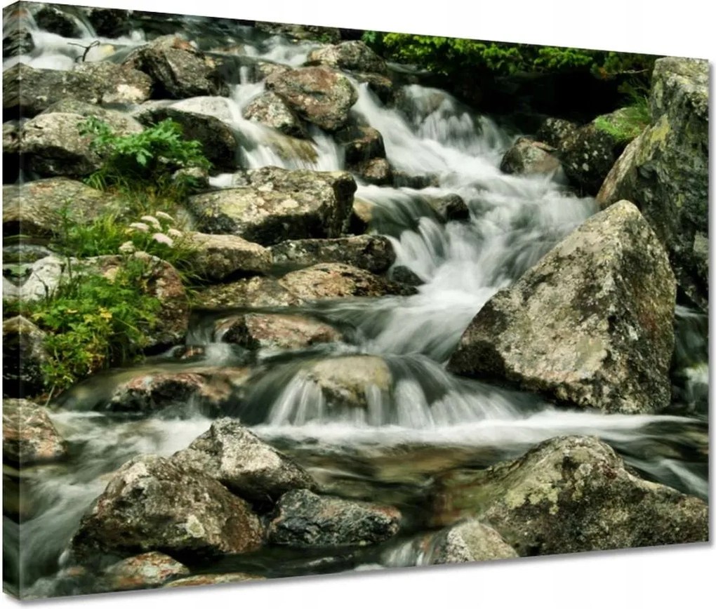 Vászonkép 40x30 Tátrai patak