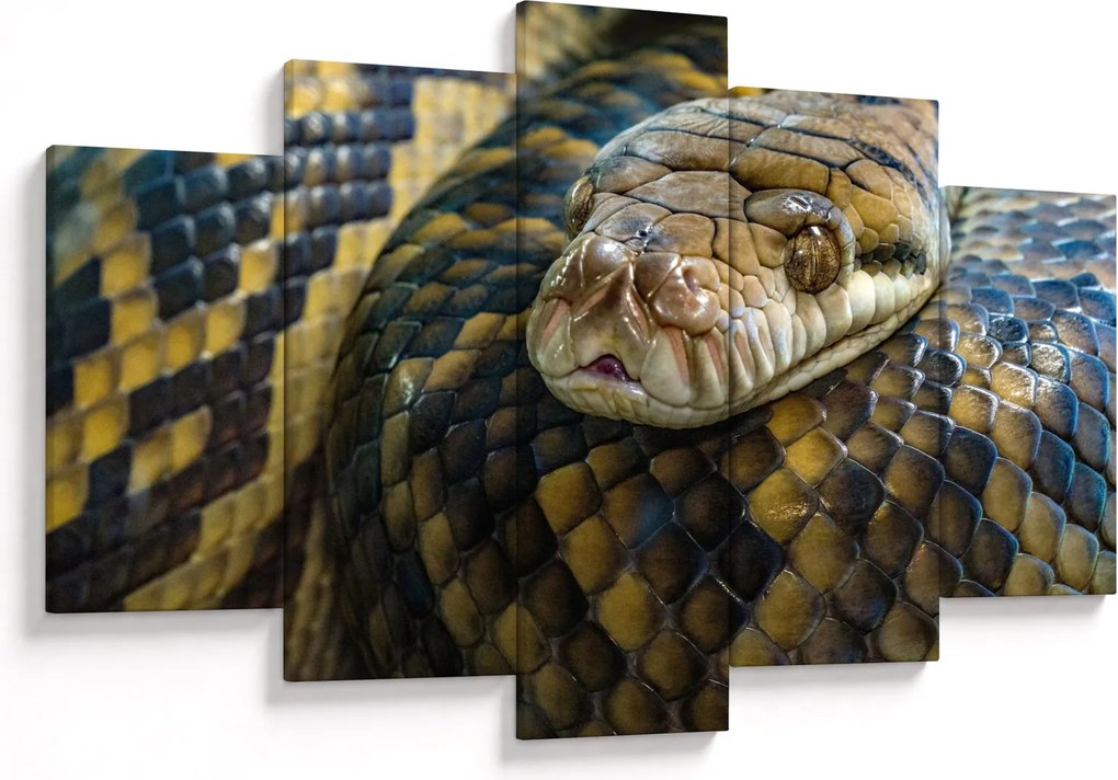 Kép - Piton (150x105 cm)