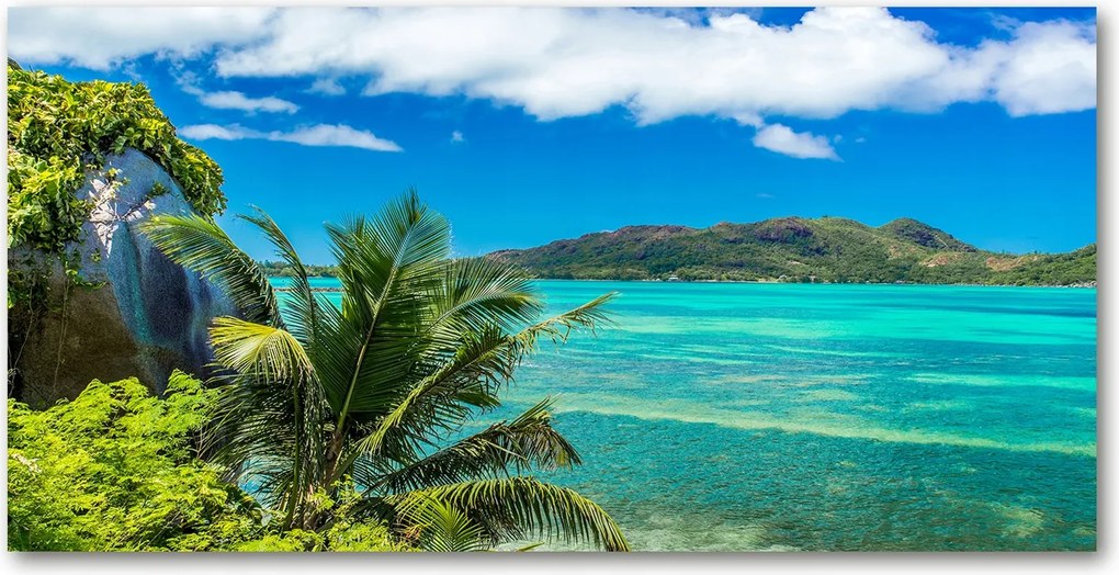 Fotó üvegkép Seychelle-szigetek tengerpart 140x70