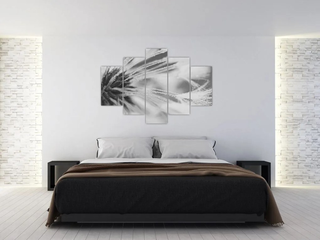 Kép - Pitypang (150x105 cm)
