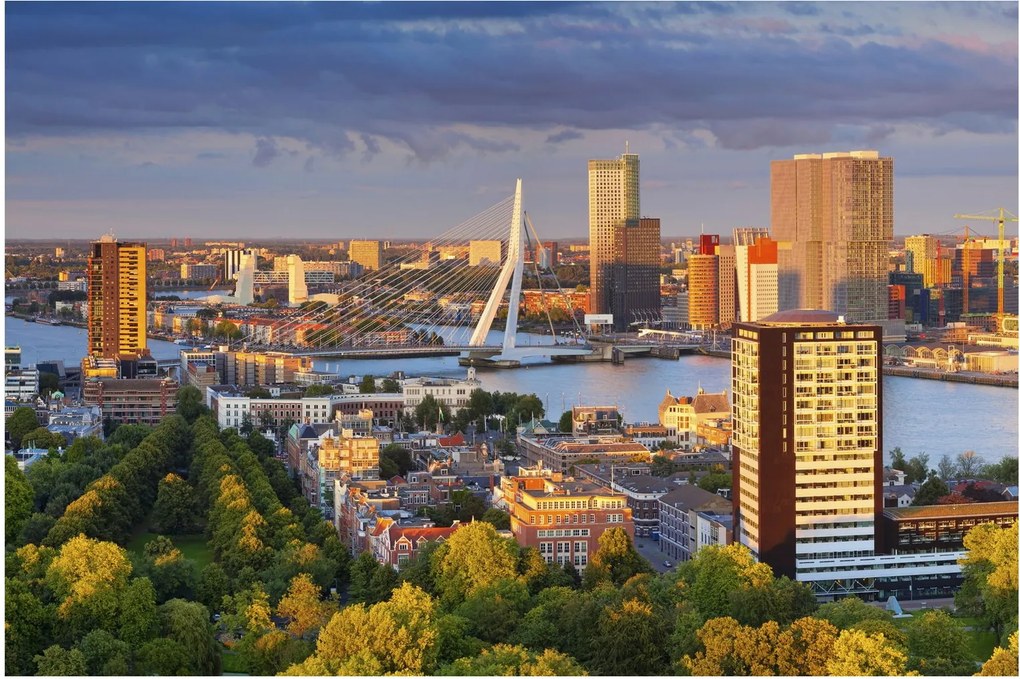 Kép - panoráma Rotterdam, Hollandia (90x60 cm)