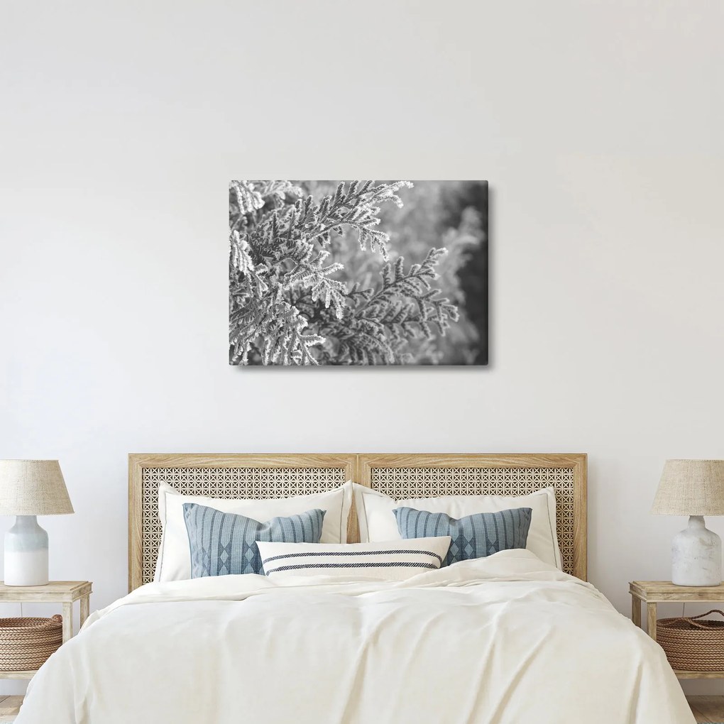 Kép - Lucfenyő erdő (70x50 cm)