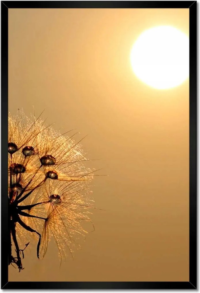 Poszterek keretben 40x60 Pitypang Virág Virágok