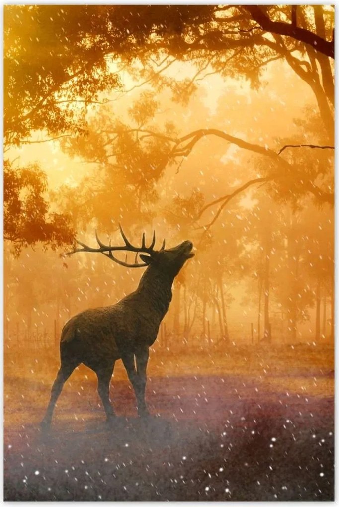 Poszterek 80x120 Szarvas az erdőben