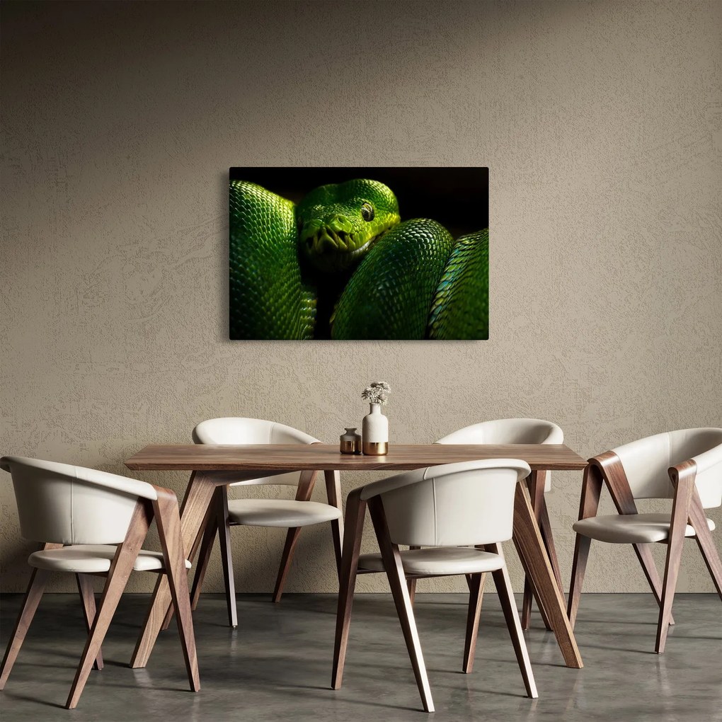Kép - Zöld kígyó (90x60 cm)