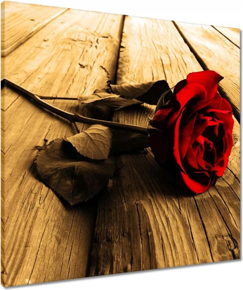 Vászonkép 60x60 Rózsa szépia deszkákon