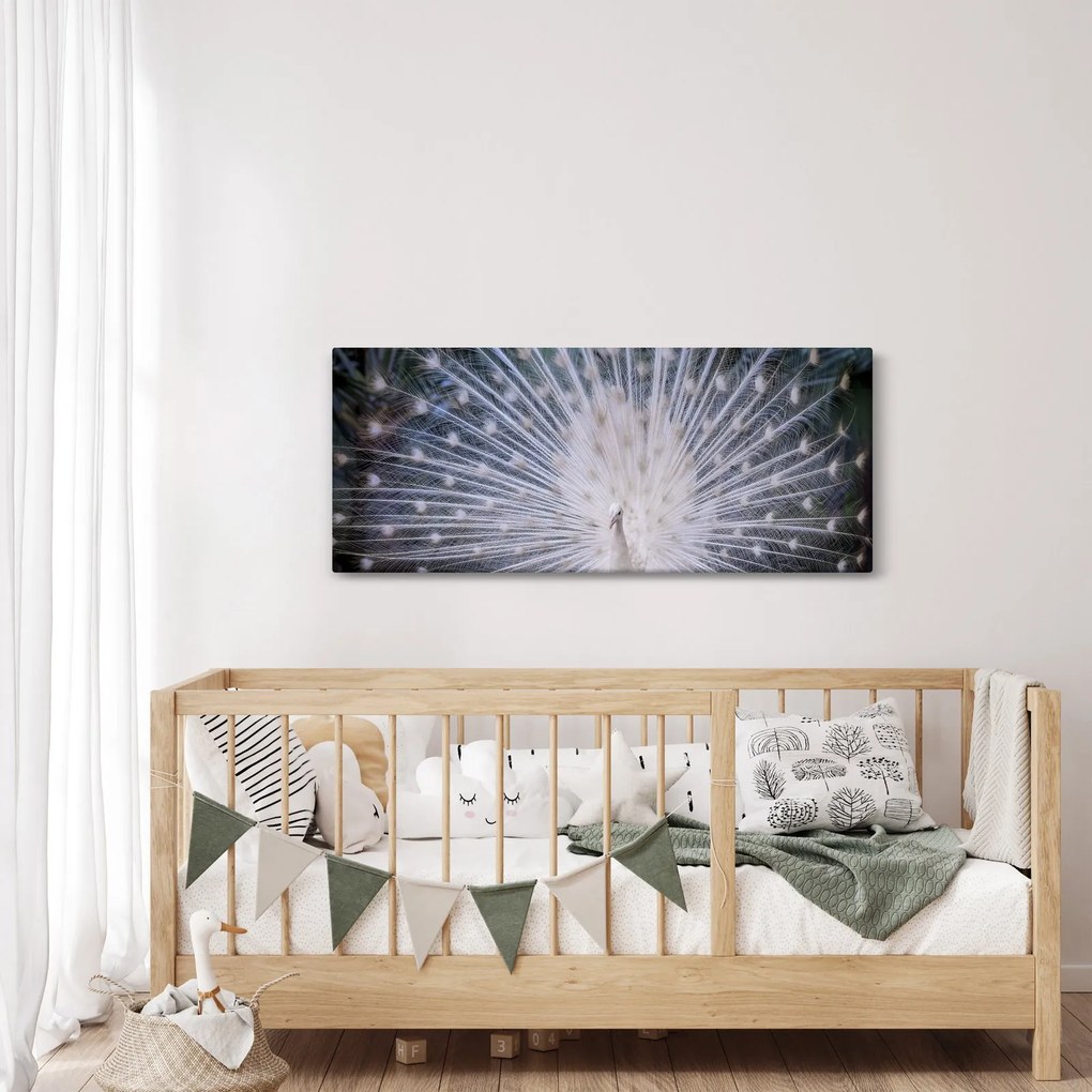 Kép - Fehér páva (120x50 cm)