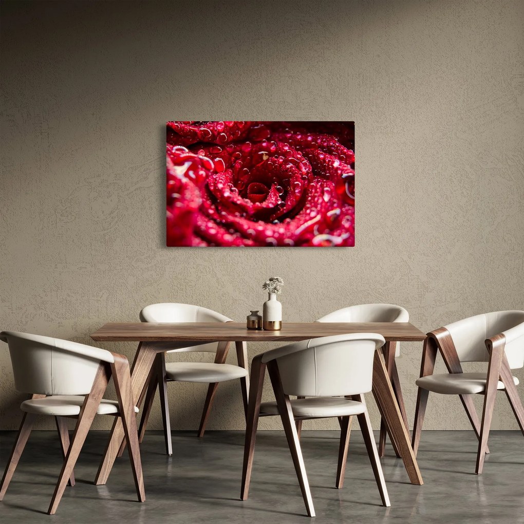 Vörös rózsa virágzata képe (90x60 cm)